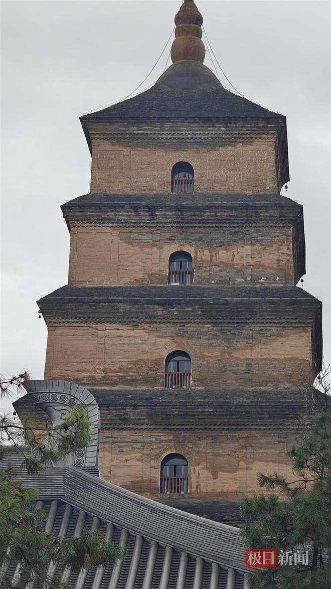 长蘑菇大雁塔受潮城墙布满青苔气象局解释成因PG麻将胡了模拟器西安连续一个多月降雨遍地(图4)