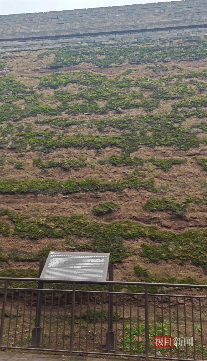 长蘑菇大雁塔受潮城墙布满青苔气象局解释成因PG麻将胡了模拟器西安连续一个多月降雨遍地(图3)